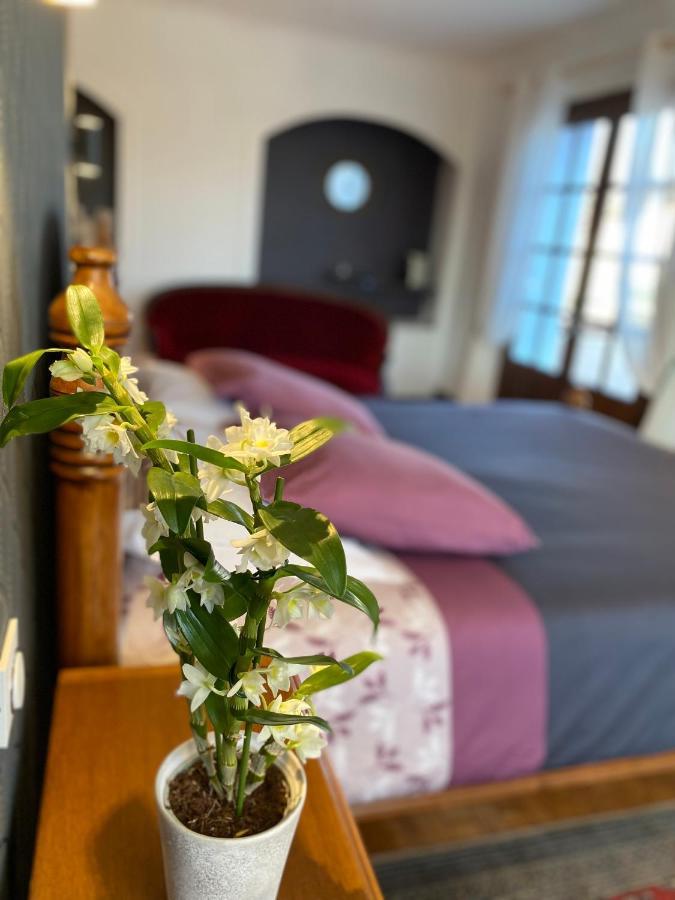 Bed and Breakfast Domaine De La Provencale Saint-Didier-de-la-Tour Esterno foto